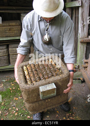 Heath apiario in Hermannsburg in Lueneburg Heath. Il supporto è dotato di appositi cesti di paglia. Questo Kanitz ceste sono tradizionali arnie del heath apicoltore. Foto: Klaus Nowottnick Data: 30 Luglio 2009 Foto Stock