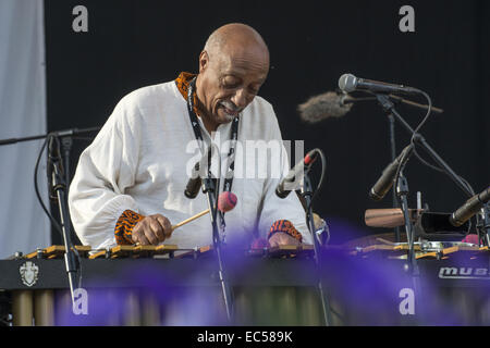 Mulatu Astatke a Pori Jazz 2014 Foto Stock