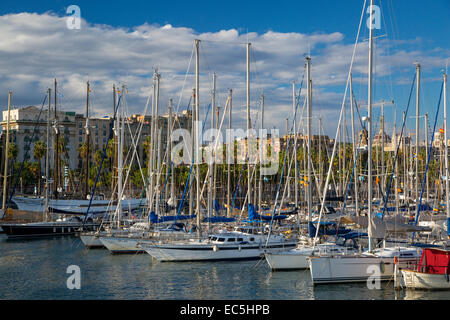 Barche a vela nella marina di Barcellona, in Catalogna, Spagna Foto Stock