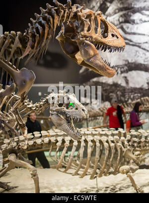 Salt Lake City, Utah - Il Museo di Storia Naturale dello Utah al Rio Tinto centro sull'Università dello Utah campus. Foto Stock