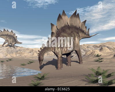 Uno stegosaurus a piedi acqua e altri in piedi su una collina nel deserto di giorno Foto Stock