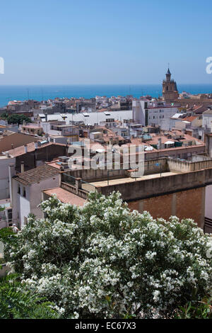 Vista Cityscape Arenys de Mar, Costa del Maresme, Comarca del Maresme, Provincia di Barcellona, Spagna, Europa Foto Stock