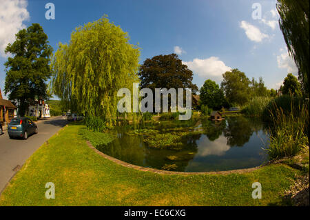 Il Duck Pond sulla rotatoria, Otford Kent. Foto Stock