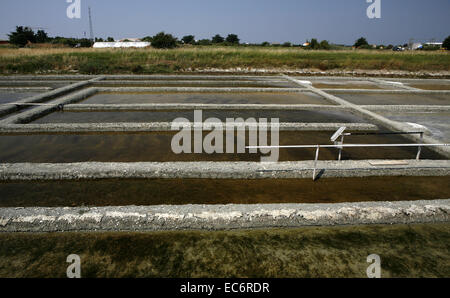 Mare 8203 amp amp 8203 sale sale di salina ha riportato la Francia isola noirmoutier mare per la produzione di sale di estrazione del sale raccolto di sale Foto Stock