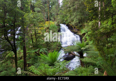 Tripletta Falls, Cape Otway National Park, Victoria, Australia Foto Stock