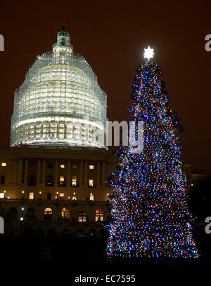 Washington, Distretto di Columbia, Stati Uniti d'America. L'8 dicembre, 2014. Gli Stati Uniti Capitol albero di Natale è visto prima la U.S. Campidoglio di Washington. © Chuck Myers/ZUMA filo/Alamy Live News Foto Stock