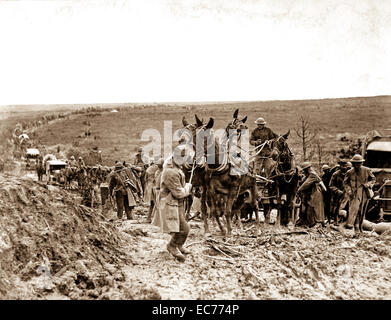 Scosse privato cercando di spostare i muli trasporta un americano di munizioni carro bloccato in strada, tenendo l'anticipo di tutta la colonna. San Baussant, a est di San Mihiel, Francia, settembre 13, 1918. Foto Stock