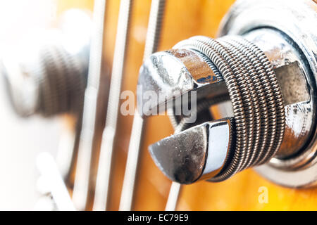 Vista macro di bass guitar bullone. Foto Stock