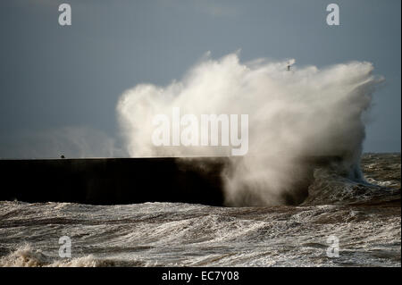 Aberystwyth, Wales, Regno Unito. 10 dicembre, 2014. Regno Unito: Meteo gale force vento e onde enormi hit costa gallese. Credito: Graham M. Lawrence/Alamy Live News. Foto Stock