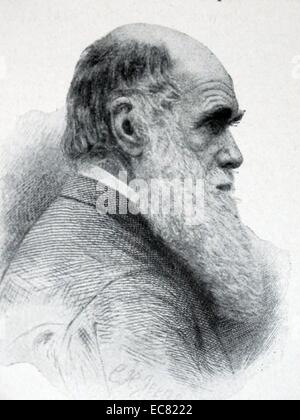 Robert Charles Darwin (12 febbraio 1809 - 19 Aprile 1882) era un naturalista inglese e geologo, più noto per la sua teoria evolutiva degli esseri umani 'Darwin teoria dell'. Foto Stock