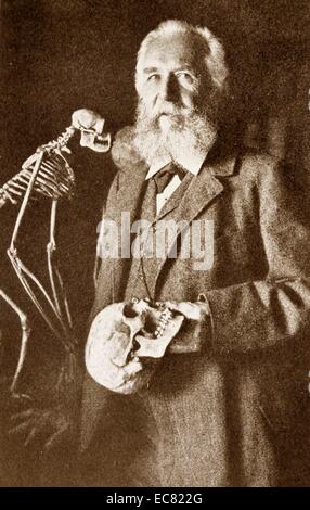 Ernst Heinrich Philipp August Haeckel (Febbraio 16, 1834 - Agosto 9, 1919) era un naturalista tedesco, biologo e medico. Il più noto per la sua scoperta e di archiviazione delle nuove specie. Foto Stock