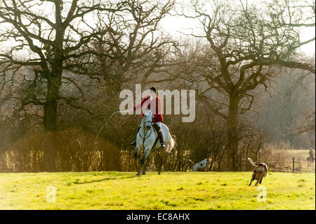 Un fox hunt in la campagna del Surrey. Foto Stock