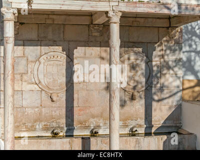 Fontana rinascimentale in Piazza della Repubblica, Alter do Chão, distretto di Portalegre, Portogallo. Dettaglio del portoghese stemma. Foto Stock
