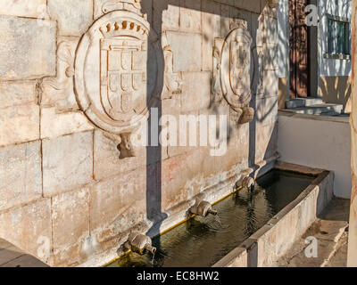 Fontana rinascimentale in Piazza della Repubblica, Alter do Chão, distretto di Portalegre, Portogallo. Dettaglio del portoghese stemma. Foto Stock