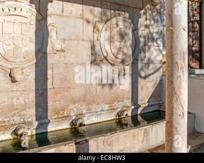 Fontana rinascimentale in Piazza della Repubblica, Alter do Chão, distretto di Portalegre, Portogallo. Dettaglio del portoghese stemma. Foto Stock