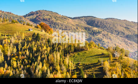 Paesaggio di campagna in un rumeno villlage presso il cibo di Piatra Craiului Mountains Foto Stock