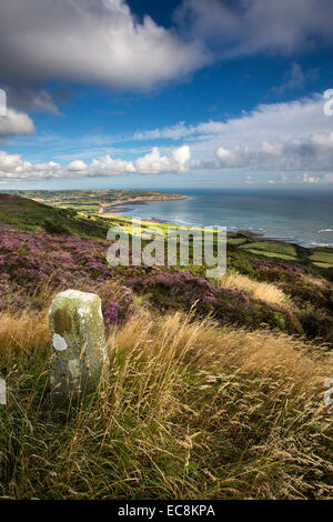 Robin cappe baia vista da Ravenscar sulla North Yorkshire costa. Foto Stock