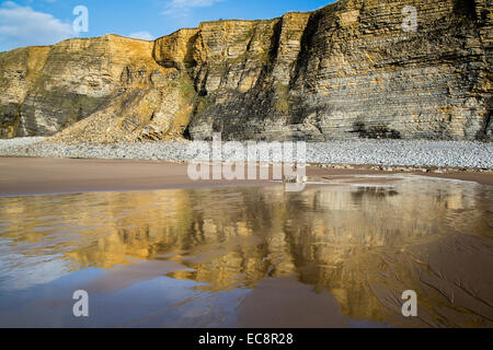 Scogliere di Jurassic Lias strati di calcare si riflette nella spiaggia bagnata vicino a Nash punto sulla Glamorgan Heritage costa sud del Galles Foto Stock