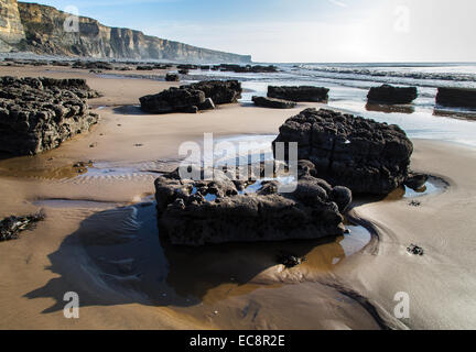 Blocco rimane del Giurassico Lias letti sulla spiaggia vicino a Nash punto sulla Glamorgan Heritage costa sud Wales UK Foto Stock