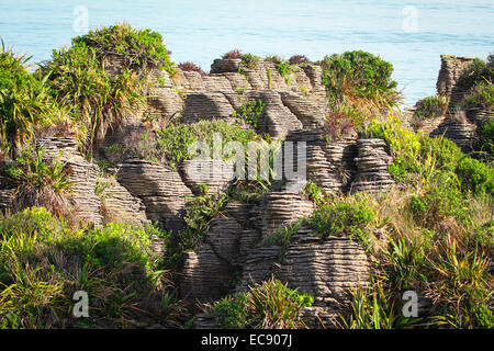 Pancake rocce vicino Punakaiki in Nuova Zelanda Foto Stock