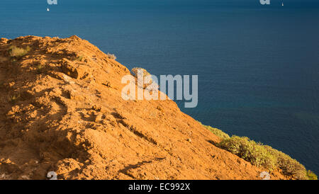 Il cono vulcanico giallo estinto del Montana Amarilla, Costa del Silencio, Tenerife, con Euphorbia balsamifera che cresce sul bordo del vulcano Foto Stock