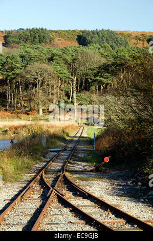 Convergenza di linee ferroviarie, Margam Country Park, Port Talbot, South Wales, Regno Unito. Foto Stock