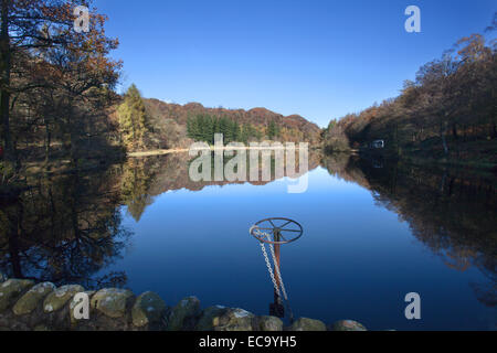 Yew Tree Tarn su una soleggiata giornata autunnale vicino a Coniston Cumbria Inghilterra England Foto Stock