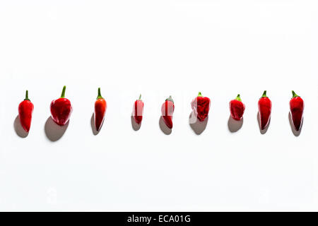 Fila di peperoncino su sfondo bianco Foto Stock