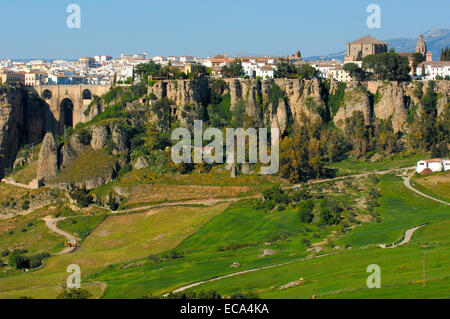 Puente Nuevo, new bridge spanning Tajo Gorge, Ronda, provincia di Malaga, Andalusia, Spagna, Europa Foto Stock