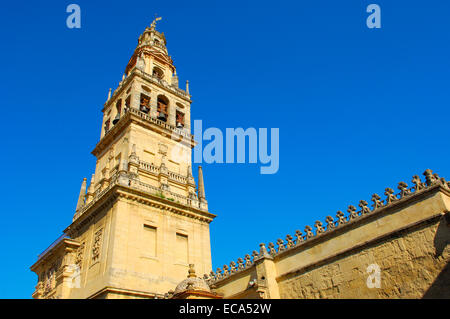 Torre minareto della Grande Moschea, Córdoba, Andalusia, Spagna, Europa Foto Stock