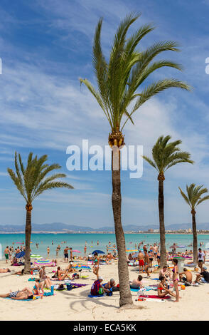 Playa de Palma e della baia di Palma di Maiorca, isole Baleari, Spagna Foto Stock