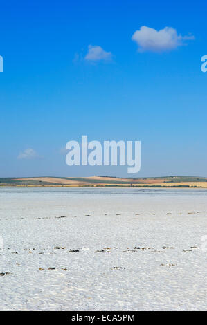 Fuente de Piedra Laguna, provincia di Malaga, Andalusia, Spagna, Europa Foto Stock