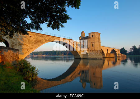 Saint Benezet ponte sul Rodano, Avignon Vaucluse, Provence-Alpes-Côte d'Azur, la valle del Rodano, Provence, Francia Foto Stock