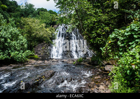 Kepirohi cascata, Pohnpei, Stati Federati di Micronesia Foto Stock