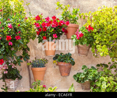 Vasi di fiori su una parete, Valldemossa, Maiorca, isole Baleari, Spagna Foto Stock