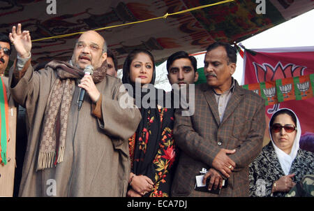 Srinagar Kashmir. 11 dicembre, 2014. Bhartia Janta Party (BJP) Presidente Amit Shah adress in un rally durante una campagna elettorale rally a Srinagar, controllata indiano Kashmir, mercoledì, le ultime due fasi del cinque-phased elezioni dello stato di Jammu e Kashmir si terrà il 14 dicembre e 20.e Resultson 23 dicembre. Credito: sofi suhail/Alamy Live News Foto Stock