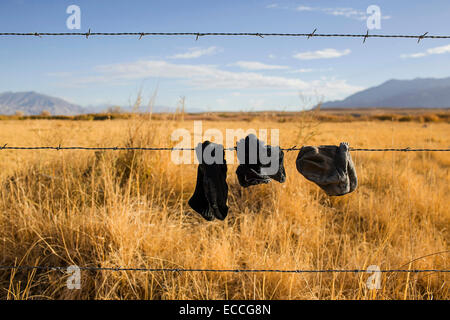 Calzini sporchi hangin on un recinto. Foto Stock