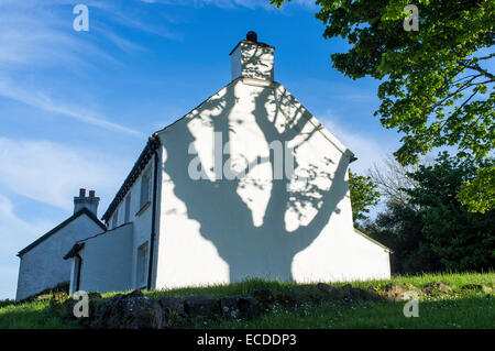 Ombra di albero sul frontone della imbiancato Bungalow Villaggio Penrice Gower Galles Foto Stock