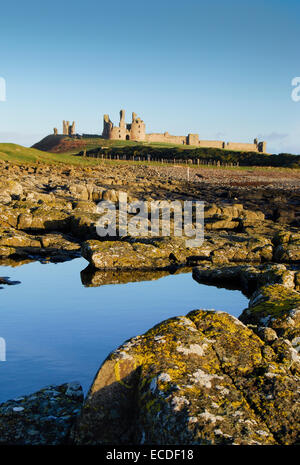 Il castello di Dunstanburgh come visto da sud nei pressi di Craster , Northumberland ,l'Inghilterra,UK Foto Stock