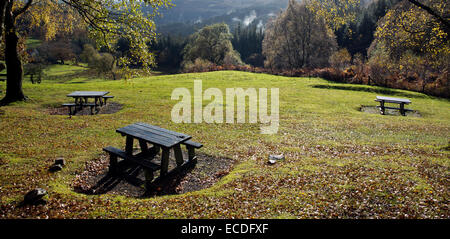 Area Picnic a Llwyn Tyn in autunno Gwydyr Forest Park Betwys Y Coed Snowdonia National Park Gwynedd North Wales, Regno Unito Foto Stock