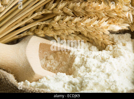 Farina in sacchetto di tela e spighe di grano Foto Stock