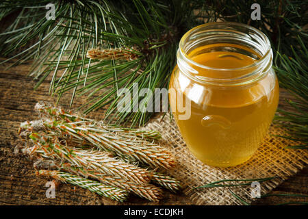 Sciroppo artigianale realizzato dalla verde pineta giovani germogli e zucchero. Focus sui jar Foto Stock