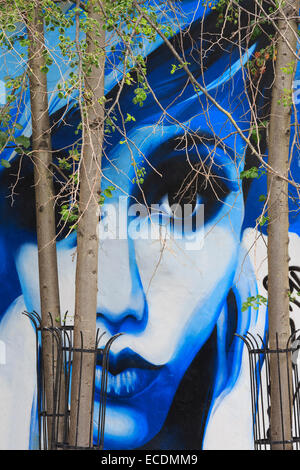 Il murale sulla North Street, Belfast, Irlanda del Nord, Regno Unito Foto Stock