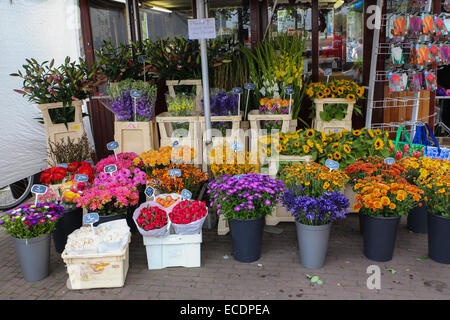 Amsterdam negozio di fiori Foto Stock