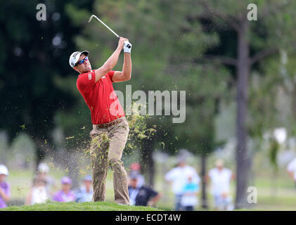 Royal Pines, Queensland. Undicesimo Dec, 2014. Australia. ADAM SCOTT (AUSTRALIA) Australian campionato di PGA essendo giocato al Royal Pines Resort su Queenslands Gold Coast. Credito: Azione Sport Plus/Alamy Live News Foto Stock