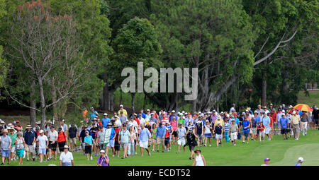 Royal Pines, Queensland. Undicesimo Dec, 2014. Australia. La folla ammassato australiano del campionato PGA essendo giocato al Royal Pines Resort su Queenslands Gold Coast. Credito: Azione Sport Plus/Alamy Live News Foto Stock