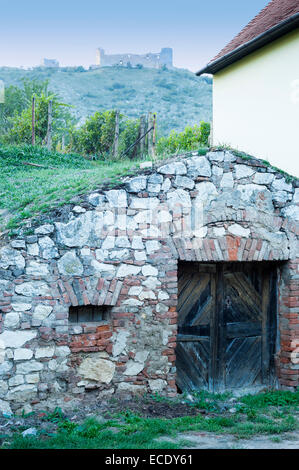 Case di vino nel piccolo villaggio di Pavlov, Moravia del sud, ceco Foto Stock