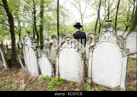 Uomo ebraica visita il cimitero ebraico, la Moravia Meridionale, Mikulov, Repubblica Ceca, Europa Foto Stock