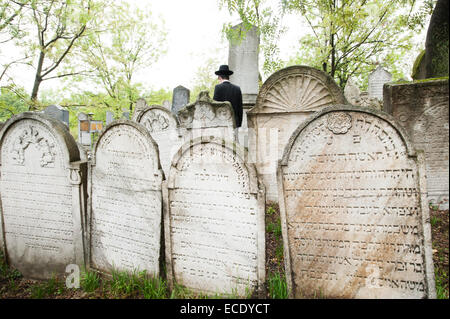 Uomo ebraica visita il cimitero ebraico, la Moravia Meridionale, Mikulov, Repubblica Ceca, Europa Foto Stock