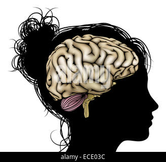 Una testa di donna in silhouette con il cervello. Concetto per mentale, psicologica, sviluppo del cervello, di apprendimento e di educazione o di altri di me Foto Stock